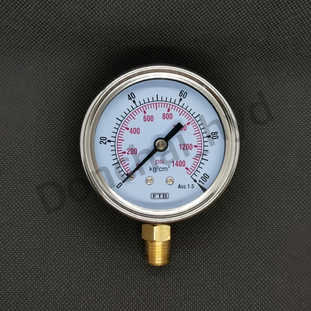 Hydraulic pressure gauge FTB (Pressure Gauge), dial 2.1/2 stainless steel, thread PT 1/4" brass, sideways.