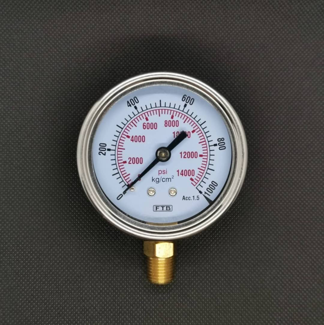 Hydraulic pressure gauge FTB (Pressure Gauge), dial 2.1/2 stainless steel, thread PT 1/4" brass, sideways.