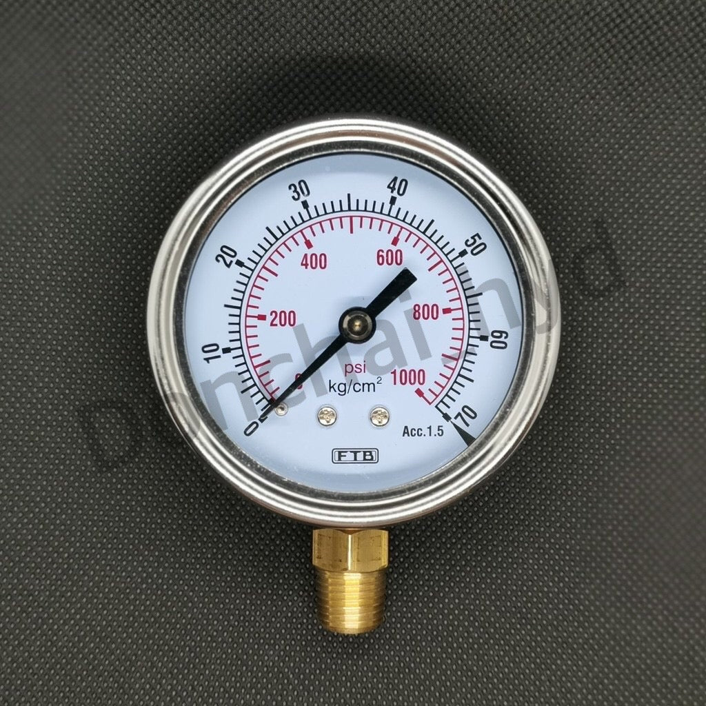 Hydraulic pressure gauge FTB (Pressure Gauge), dial 2.1/2 stainless steel, thread PT 1/4" brass, sideways.