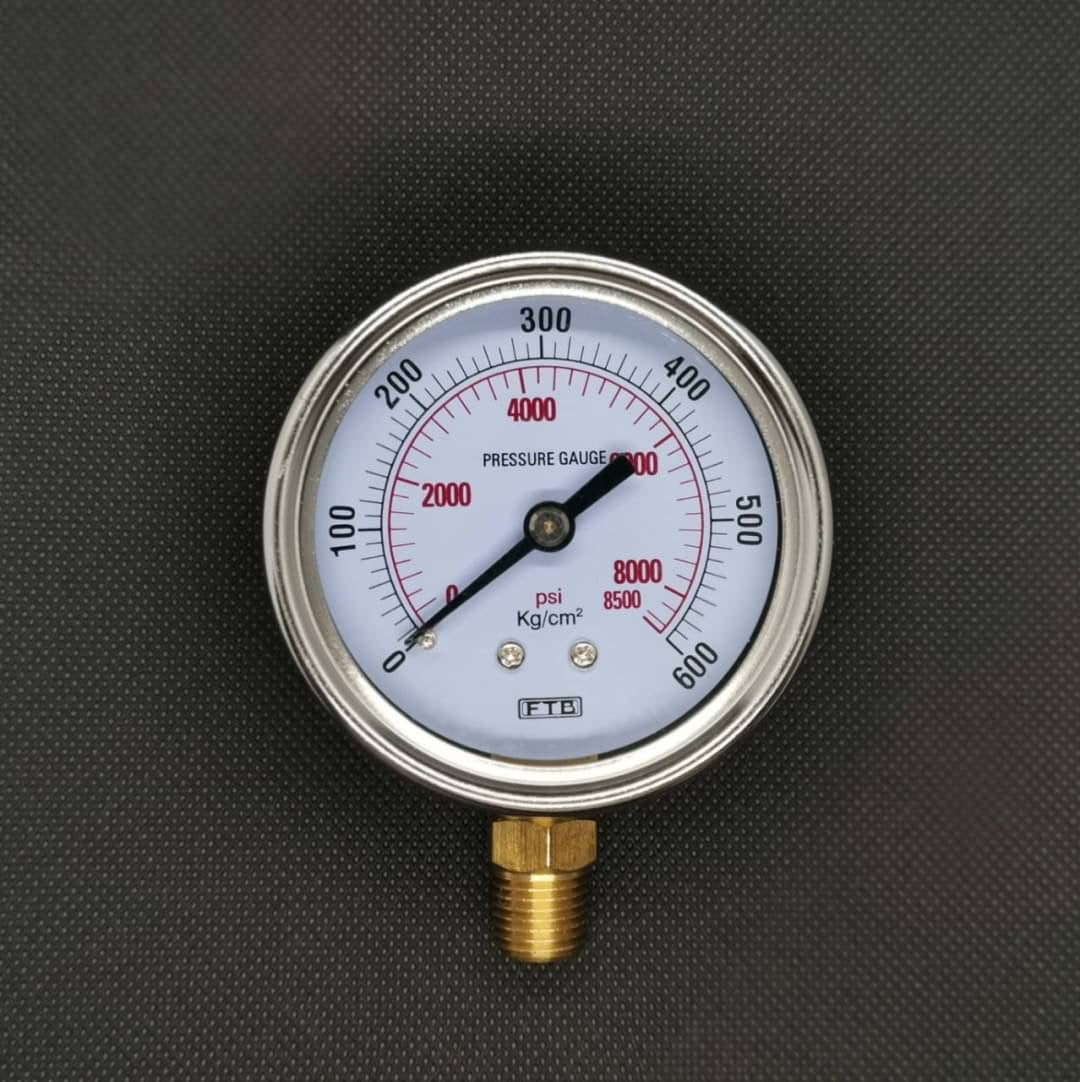 Hydraulic pressure gauge FTB (Pressure Gauge), dial 2.1/2 stainless steel, thread PT 1/4" brass, sideways.